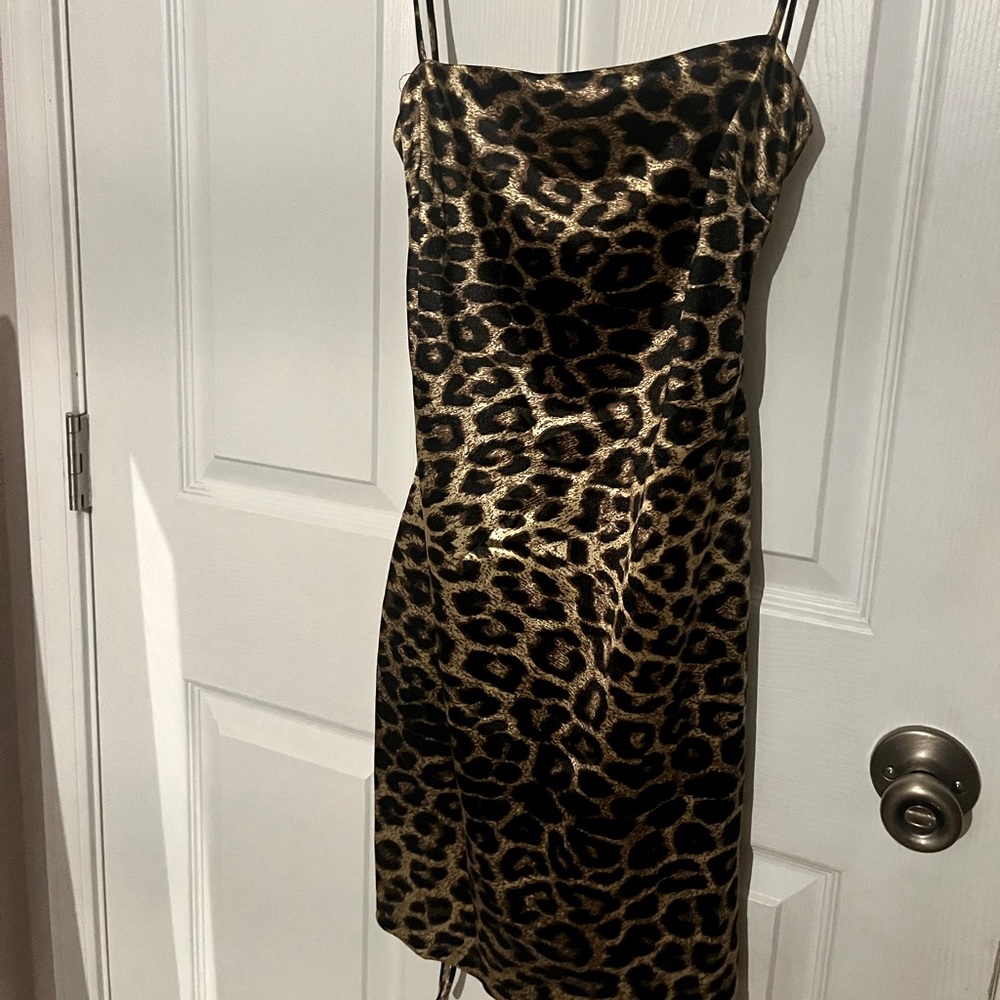 Windsor, Large, Body Contour Dress